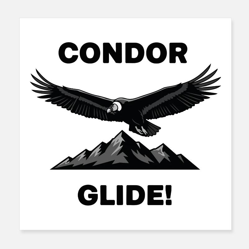 Anden-Kondor-Gleitflug Schwarzer Condor Poster 20x20 cm