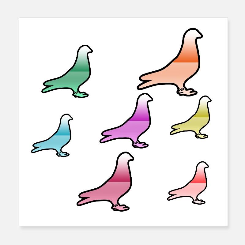 Tauben Poster 20x20 cm