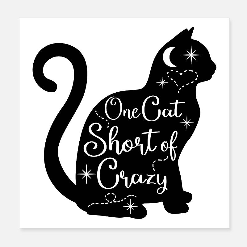One_Cat_Short_Of_Crazy Poster 20x20 cm