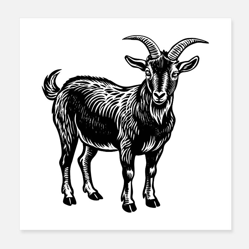 goat Poster 8" x 8" (20x20 cm)