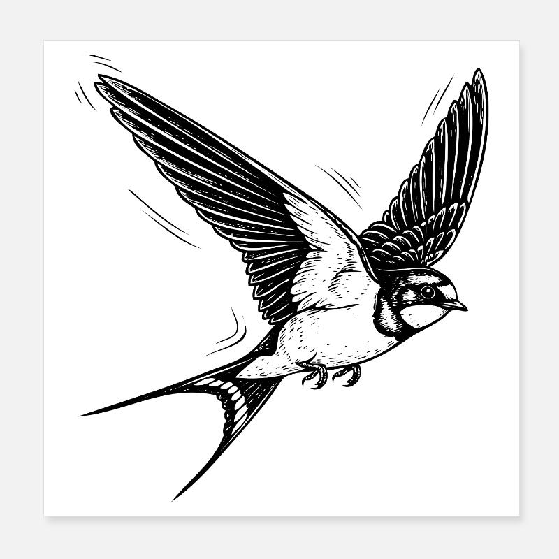 swallow Poster 8" x 8" (20x20 cm)