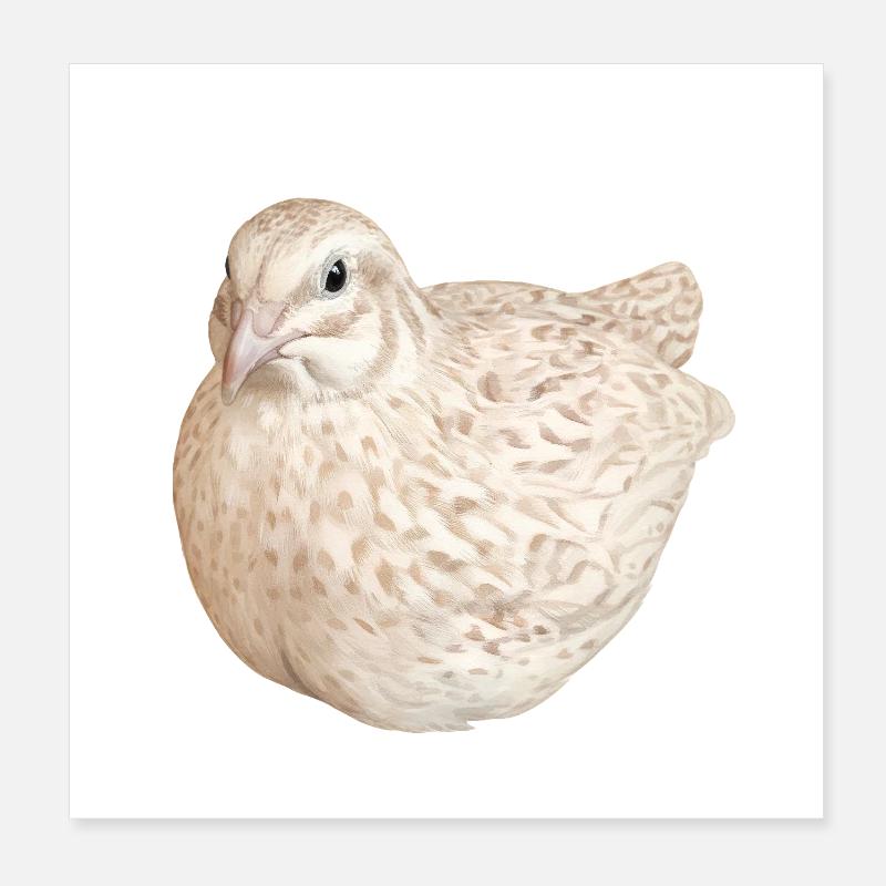 Illustration de la nature de la caille tachetée à la cannelle Poster 20 x 20 cm