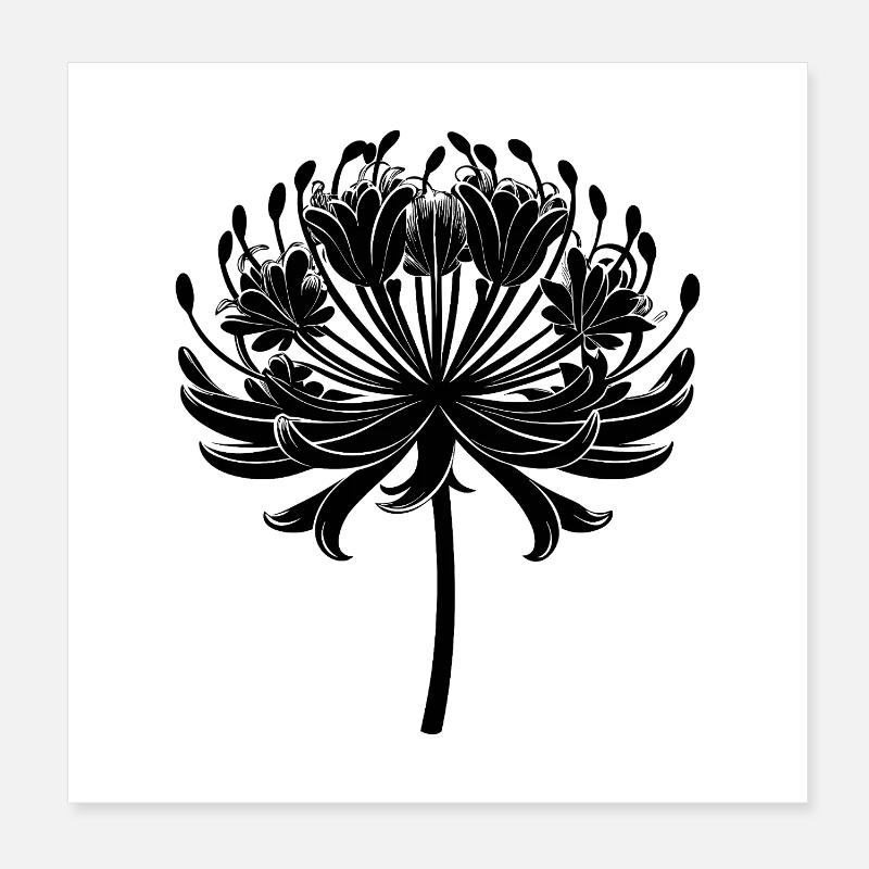 Fleur d’agapanthe Poster 20 x 20 cm