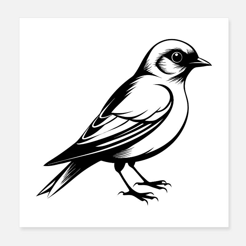 Eastern Bluebird Poster 8" x 8" (20x20 cm)