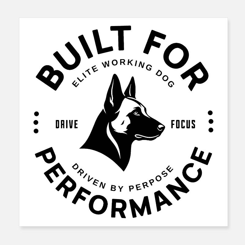 Malinois - Elite Working Dog Poster 20x20 cm