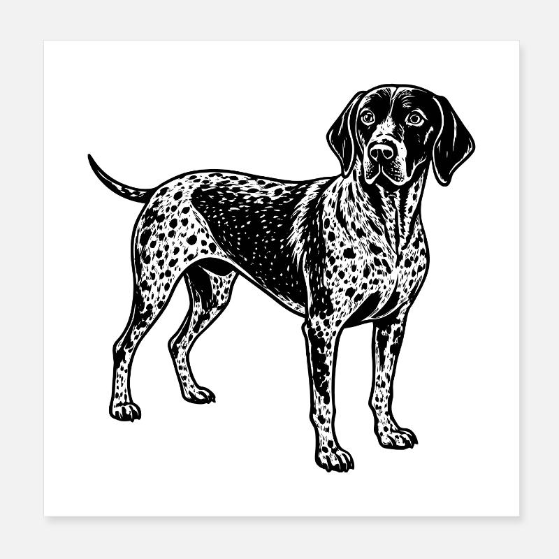German shorthaired pointer Poster 8" x 8" (20x20 cm)