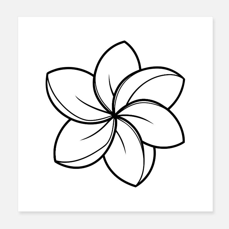 Fleur de Frangipani Poster 20 x 20 cm