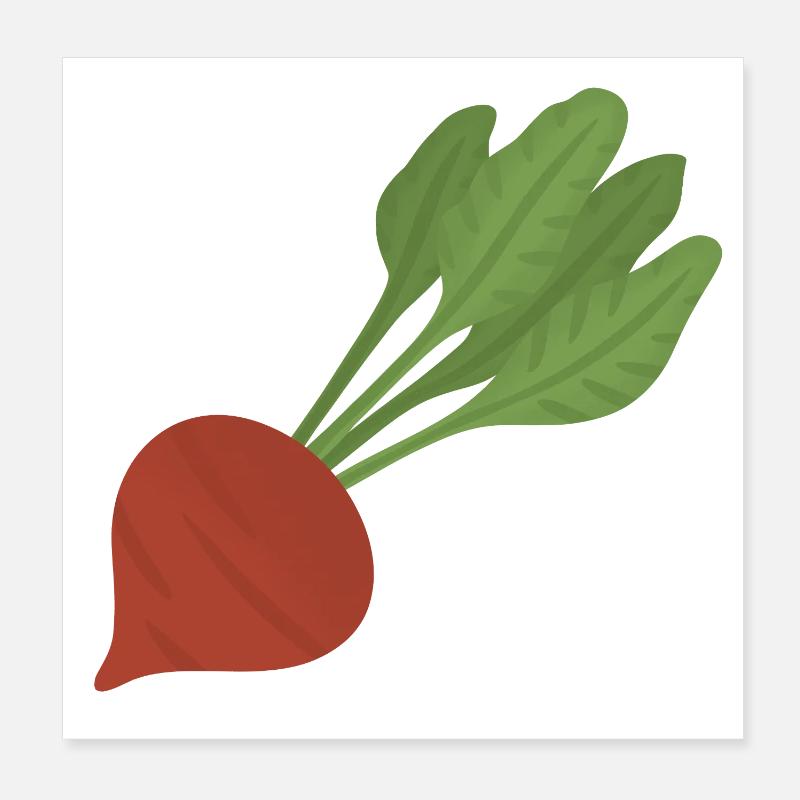 Beetroot Botanical Art Poster 8" x 8" (20x20 cm)