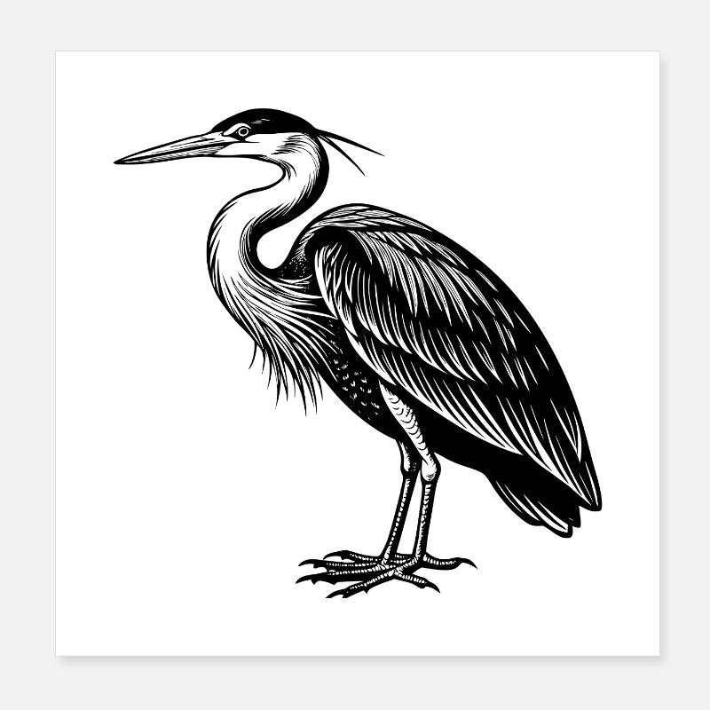 Großer Blaureiher Poster 20x20 cm
