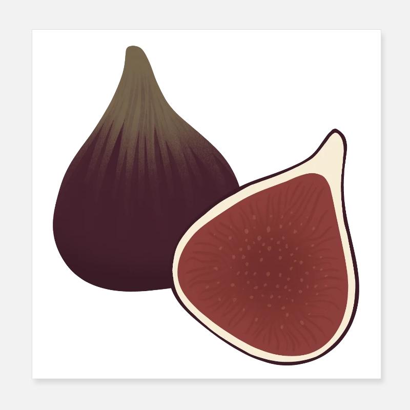 Fig Slice Botanical Print Poster 8" x 8" (20x20 cm)