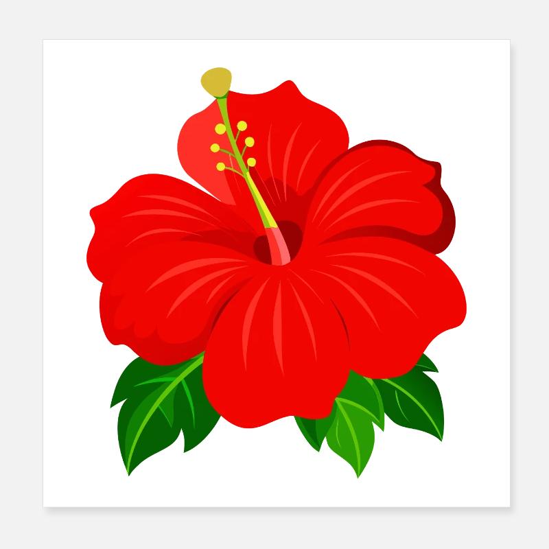 Fleur d’hibiscus Poster 20 x 20 cm