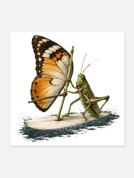 Grashüpfer auf Surfbrett mit Schmetterling Segel - Poster 20x20 cm - Weiß - Vorne