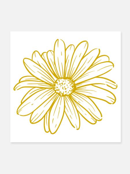 Golden Daisy – Minimalistische Blumenkunst - Poster 20x20 cm - Weiß