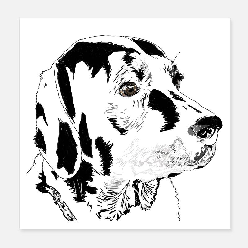 Labrador Poster 20 x 20 cm