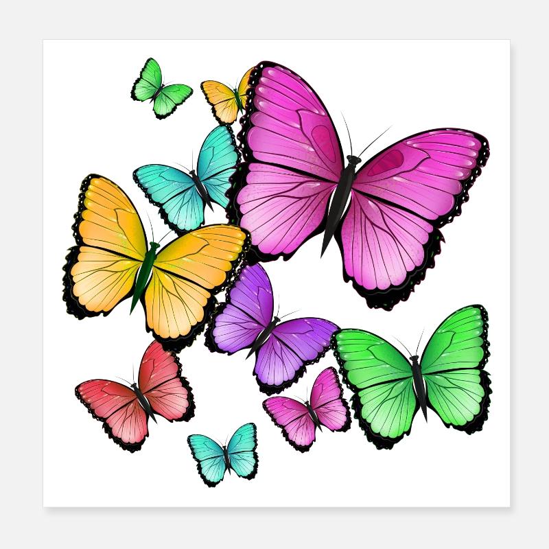 wild colored butterflies Poster 8" x 8" (20x20 cm)