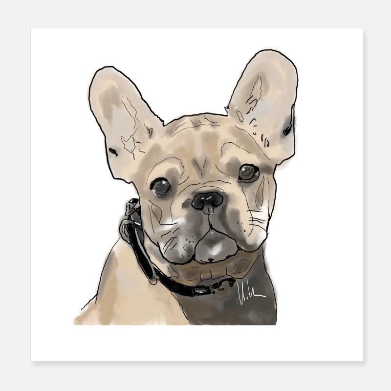 Français Bulldog - Poster 20 x 20 cm - blanc