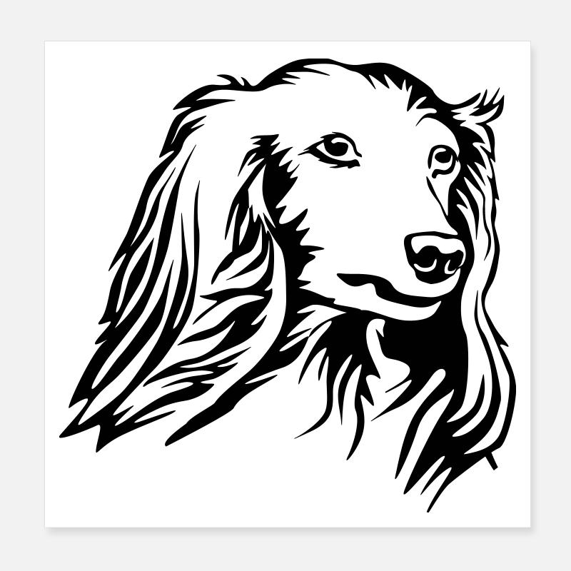 Dackel Kopf Poster 20x20 cm