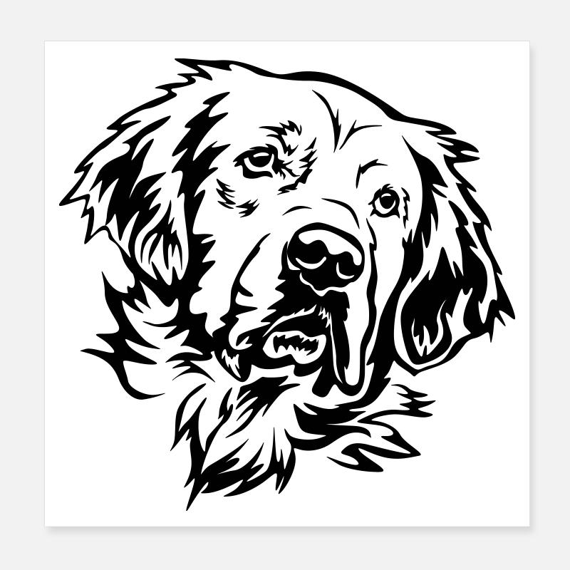 Golden Retriever Kopf Poster 20x20 cm