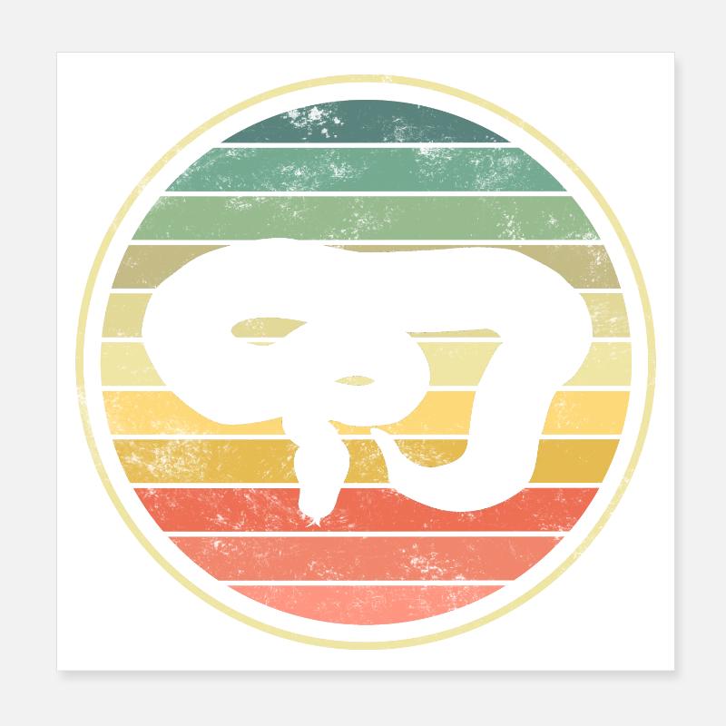Snake snakes Poster 8" x 8" (20x20 cm)