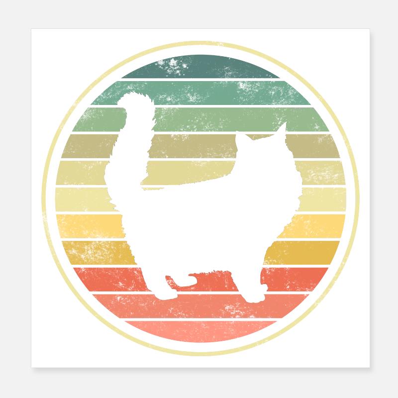 Katze Katzen - Poster 20x20 cm - Weiß