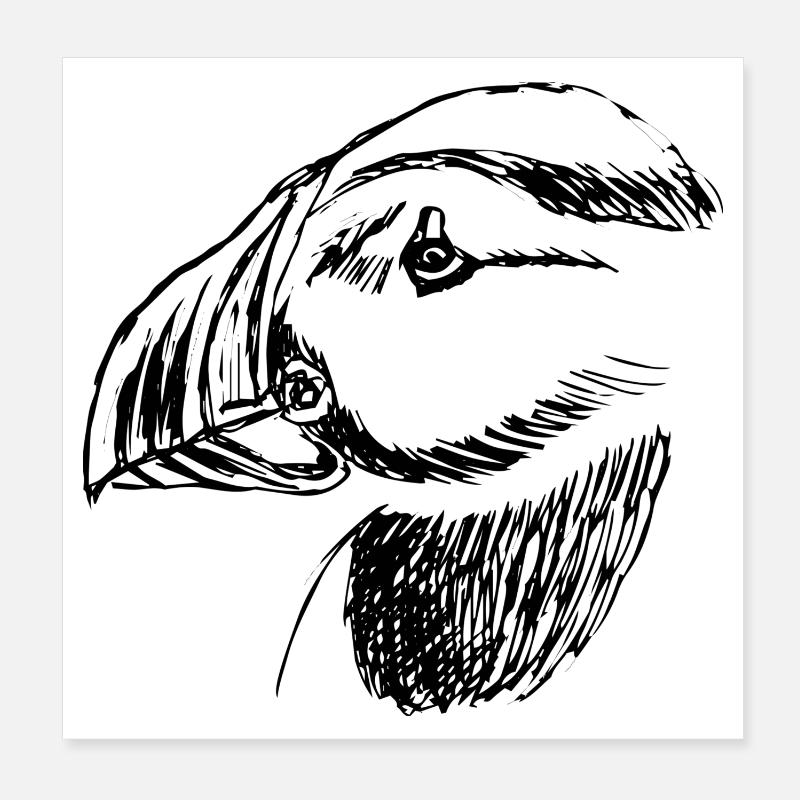 Handgezeichneter Papageientauchervogel - Poster 20x20 cm - Weiß