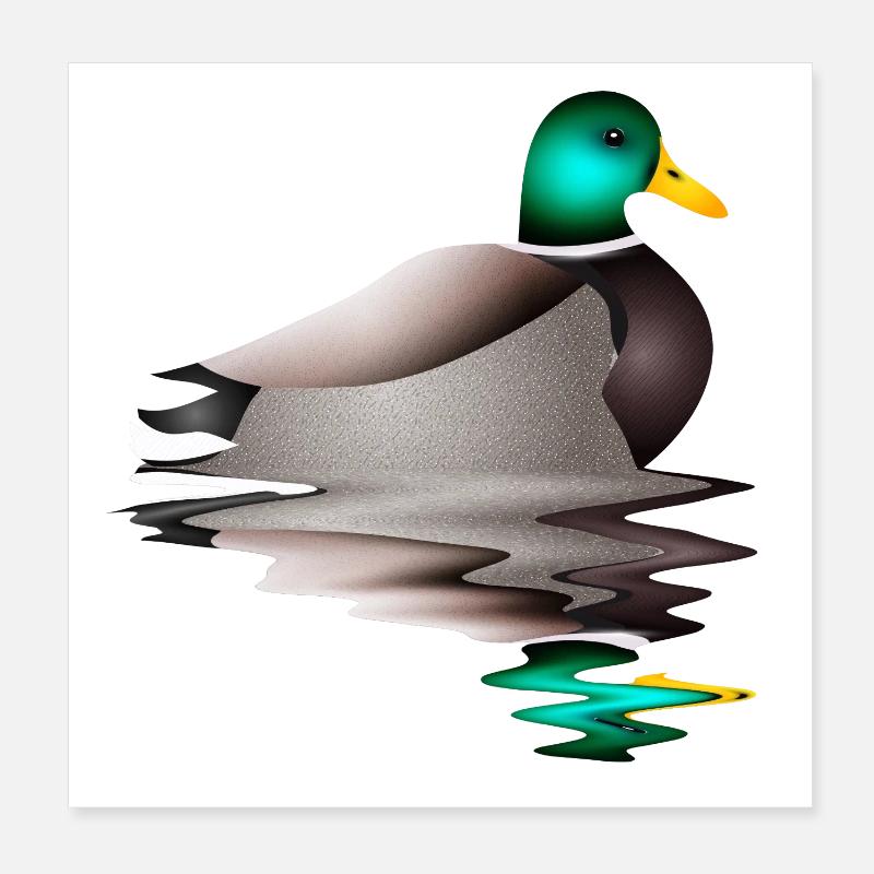 hand-drawn male duck in water Poster 8" x 8" (20x20 cm)