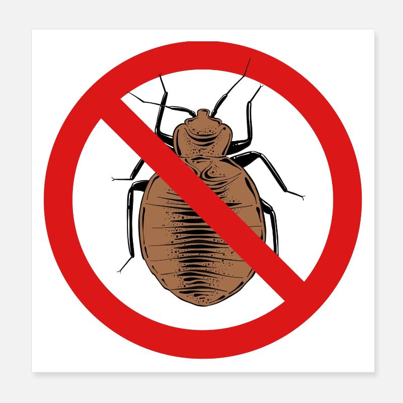 Bettwanze, Bettwanze Poster 20x20 cm