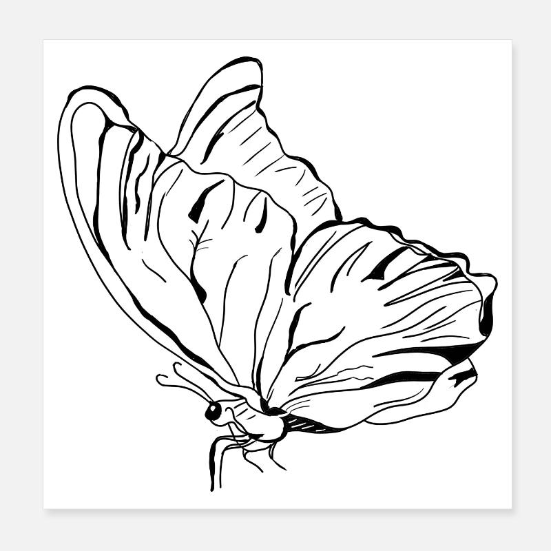 Schmetterling Vecter Poster 20x20 cm