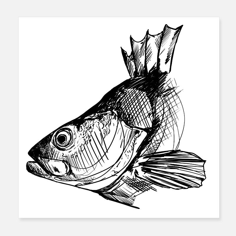 Barsch - Barschangeln - Lieblingsfisch Poster 20x20 cm