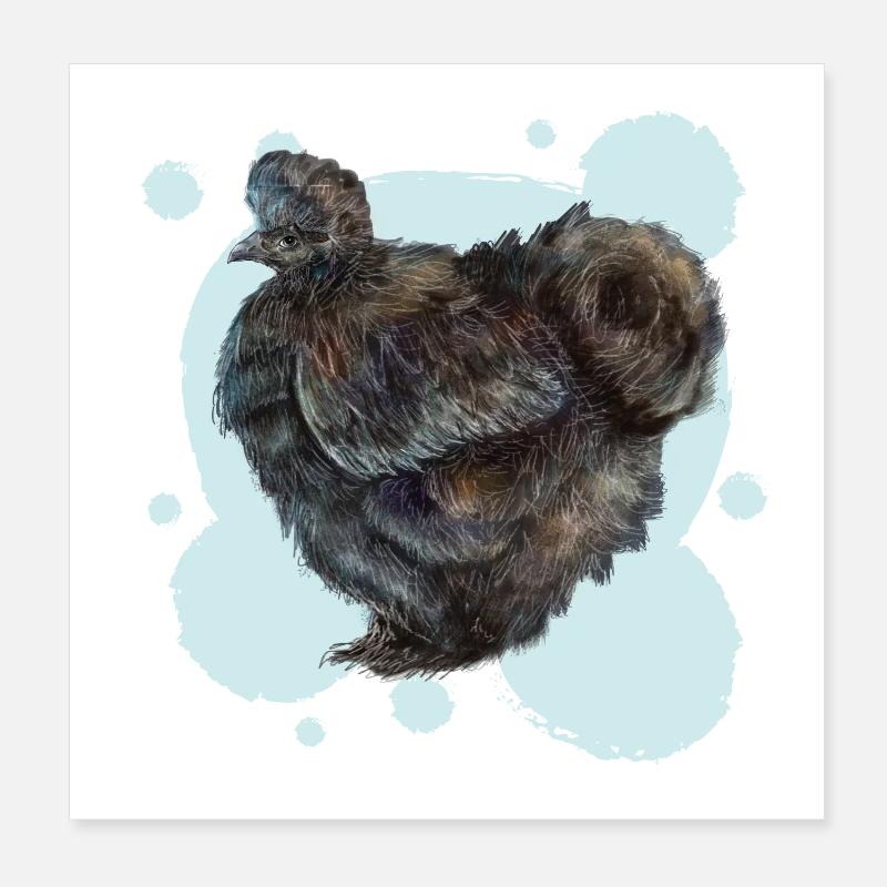 The black silky chicken Poster 8" x 8" (20x20 cm)