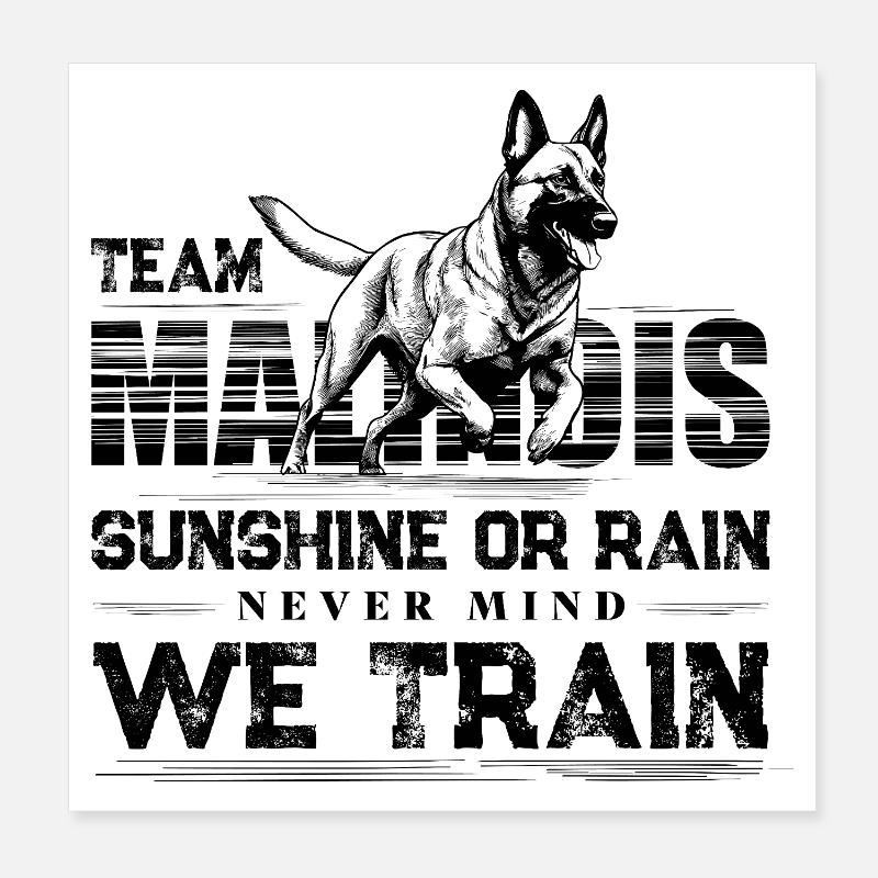Belgian Malinois Dog Training Design Poster 8" x 8" (20x20 cm)