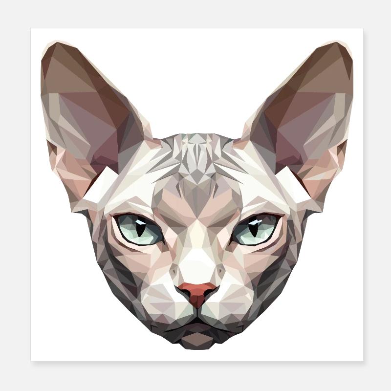 Sphynx Chat Sphynx Chat Chat Canadien Sphinx mignon Poster 20 x 20 cm