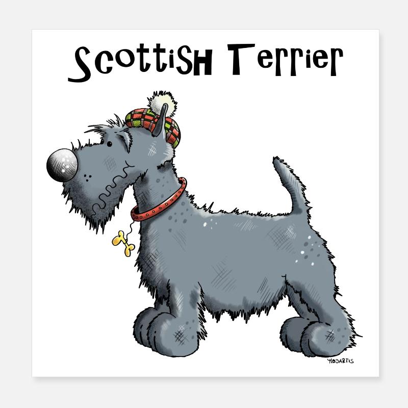 Mignon Scottish Terrier Poster 20 x 20 cm
