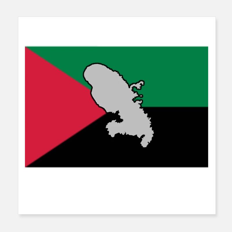 DRAPEAU MADA - CARTE 1 Poster 20 x 20 cm