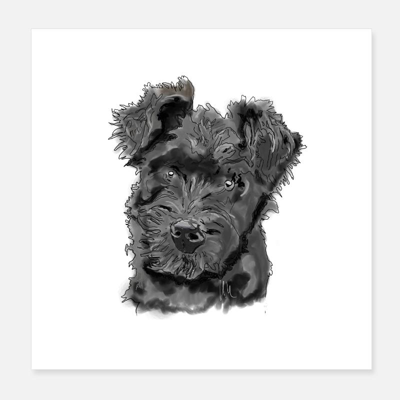 Pumi - Poster 20 x 20 cm - blanc