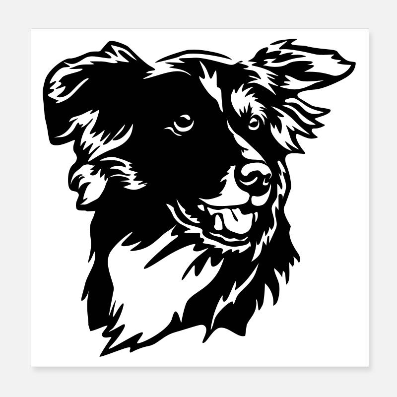 Border Collie Kopf Poster 20 x 20 cm