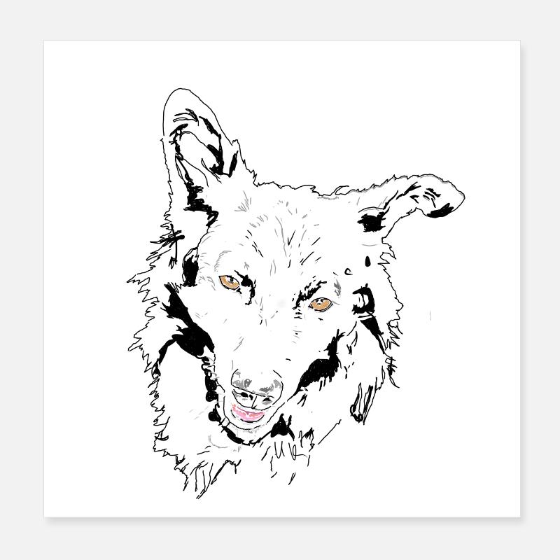 Mudi - Poster 8" x 8" (20x20 cm) - white