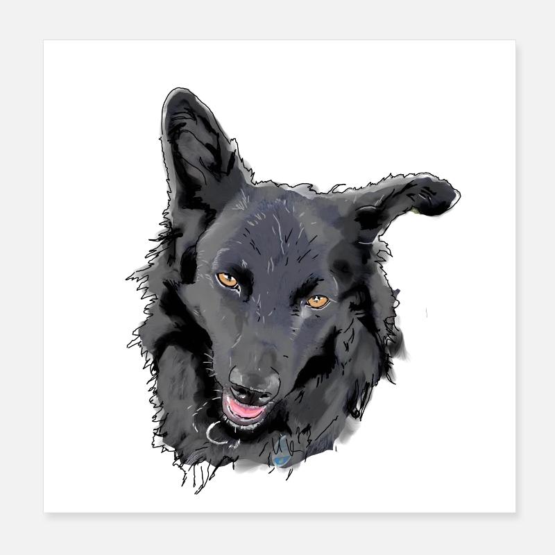 Mudi - Poster 20 x 20 cm - blanc