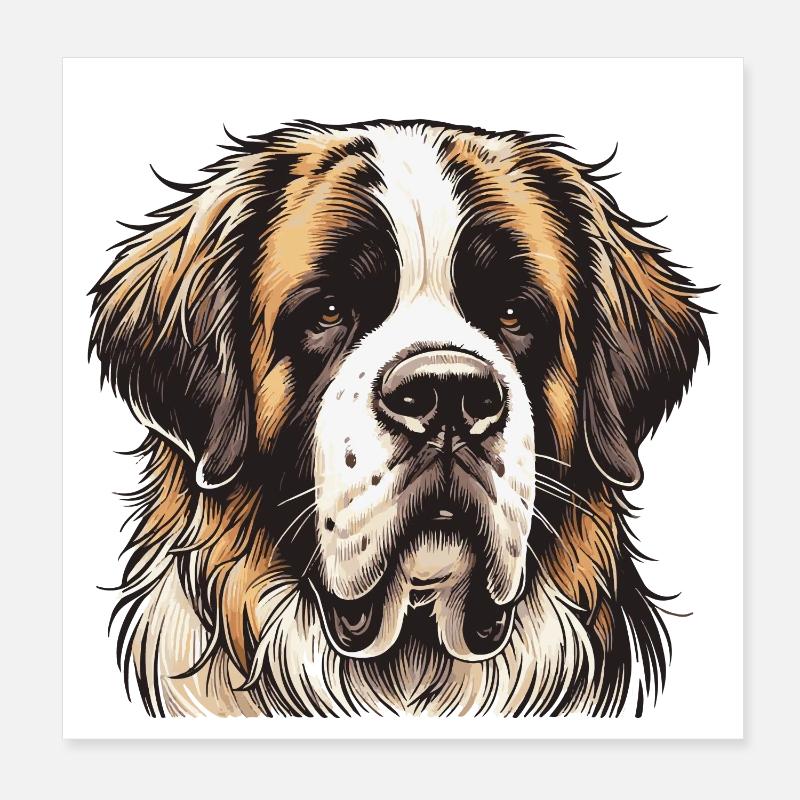 Saint Bernard - Poster 8" x 8" (20x20 cm) - white