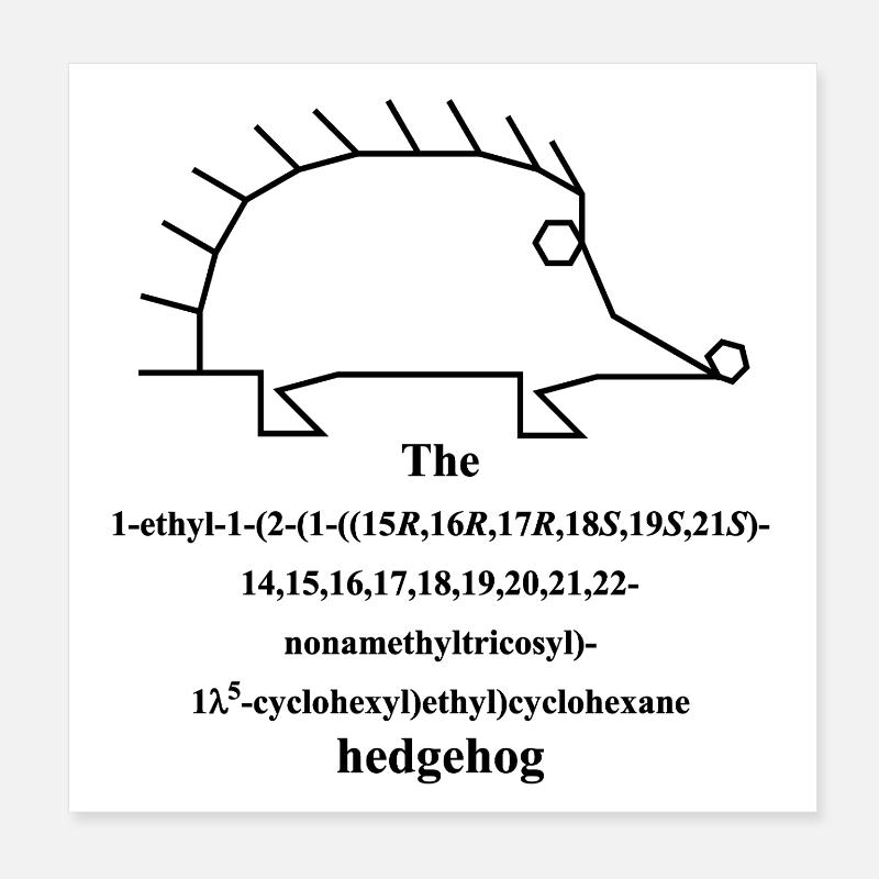 Hedgehog Molecule - IUPAC nomenclature Joke -b Poster 8" x 8" (20x20 cm)