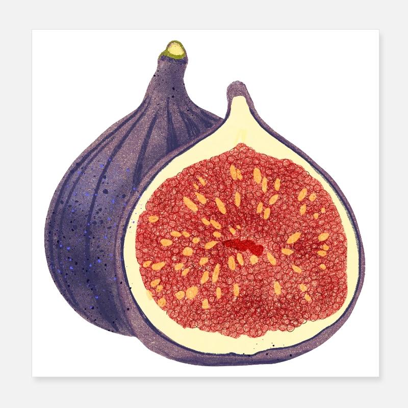 Opened Fig – Fruit Illustration Poster 8" x 8" (20x20 cm)