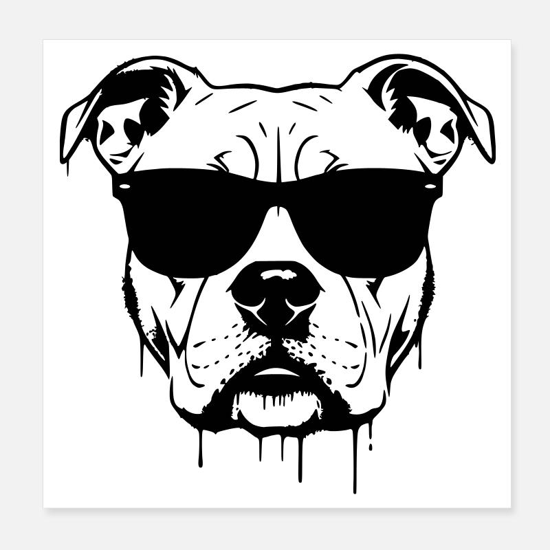 Pitbull Brille Graffiti Poster 20x20 cm