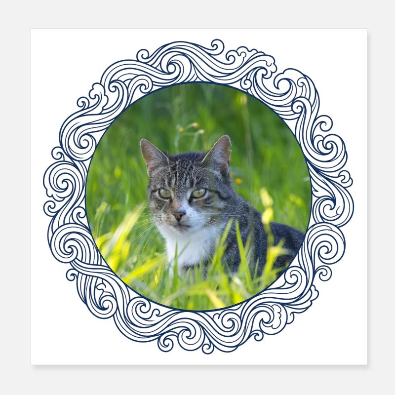 Katzen Kater Freigänger Poster 20x20 cm