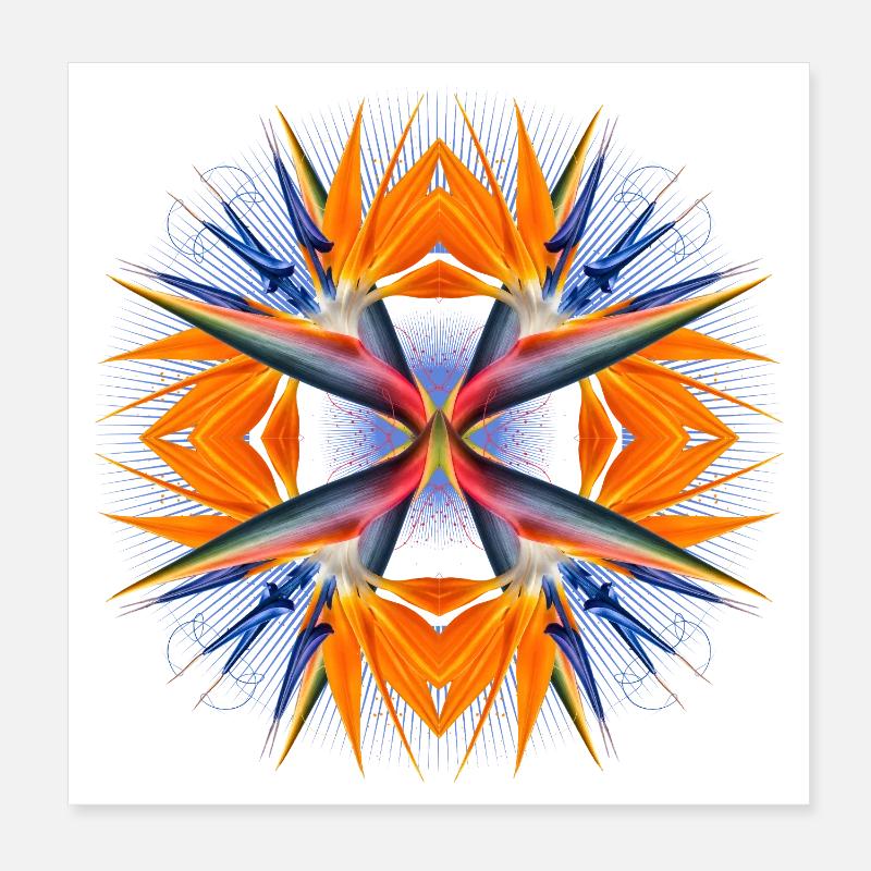 Mandala Oiseau de Paradis Fleur Abstrait Tropical Art Poster 20 x 20 cm