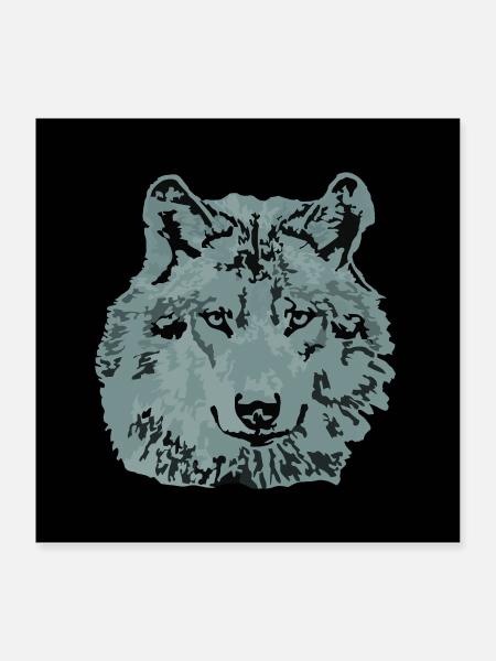 Wolf grau mit Hintergrund - Poster 40x40 cm - Weiß