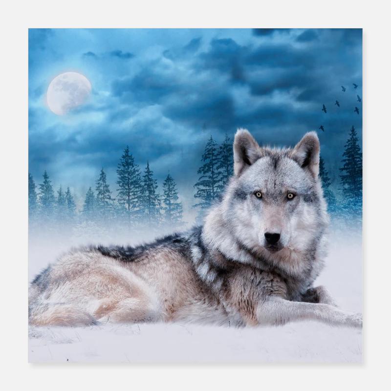 Lone Wolf / Wolves Wolf Moon Moonlight Wildlife Poster 16" x 16" (40x40 cm)