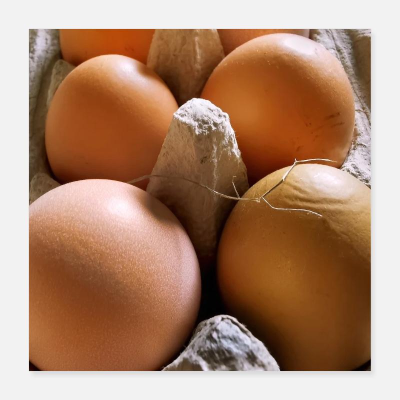 Oeuf Poster 40 x 40 cm