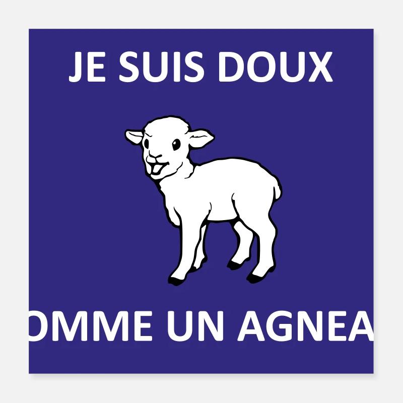 Doux comme un agneau Poster 40 x 40 cm