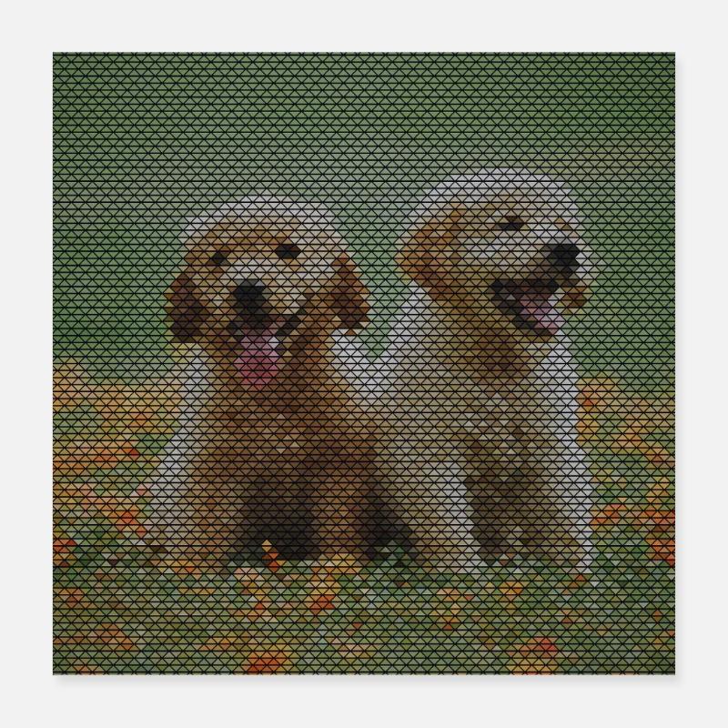Zwei Labrador Retriever Welpen mit Dreickmuster Poster 40x40 cm