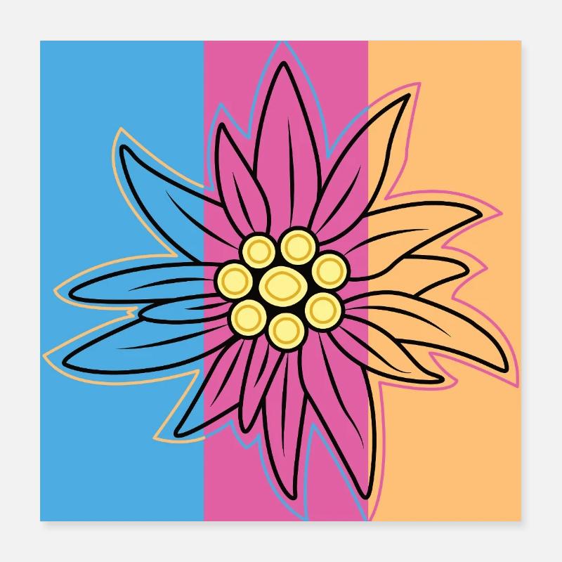 Edelweiss. Poster 16" x 16" (40x40 cm)
